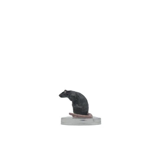 Giant Rat - Ghost Light - #04